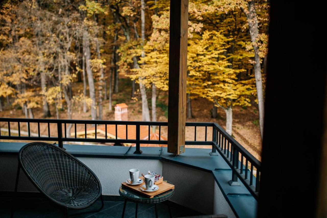 Panorama Boutique Hotel Sfântu-Gheorghe Kültér fotó